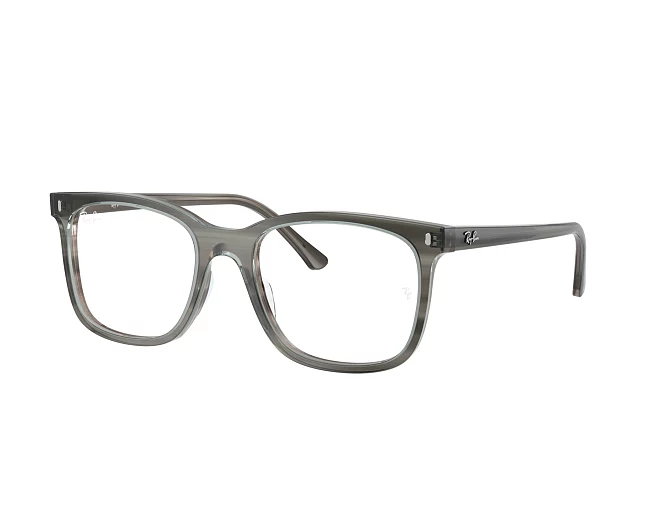 Gafas de vista Ray-Ban RX5446 8453 51 19 Gris