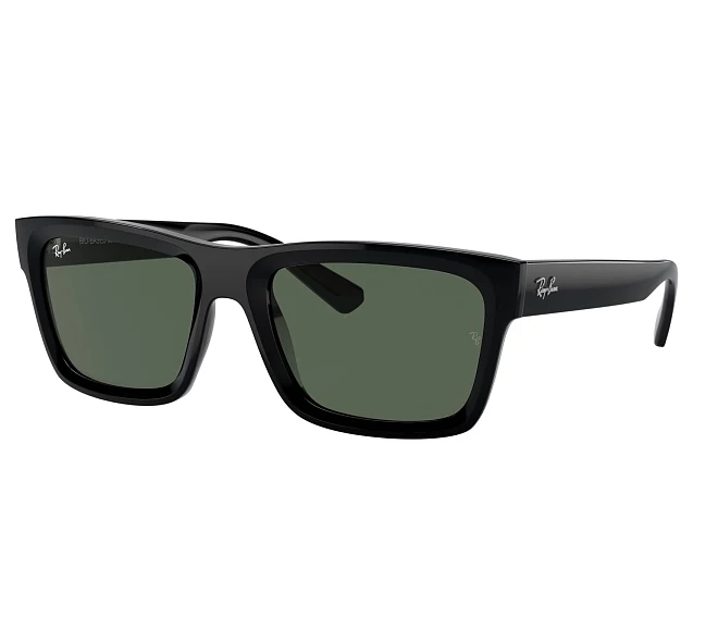 Gafas de sol Ray-Ban RB4396 667771 54 20 Negra
