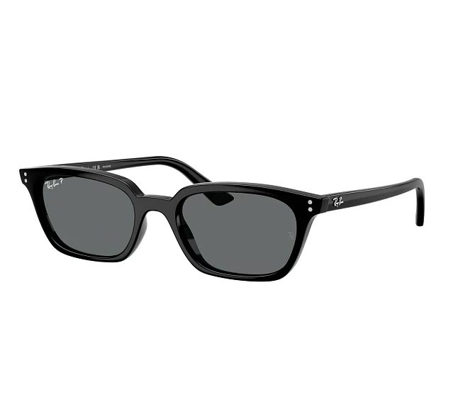 Gafas de sol Ray-Ban RB4456 667781 50 19 Negra