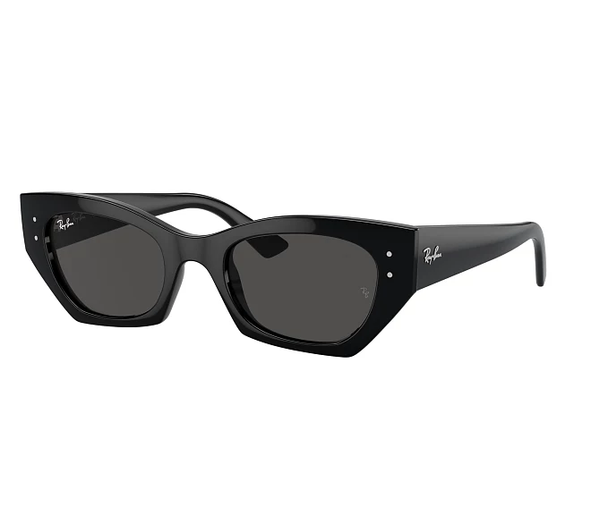 Gafas de sol Ray-Ban RB4430 667787 49 22 Negra