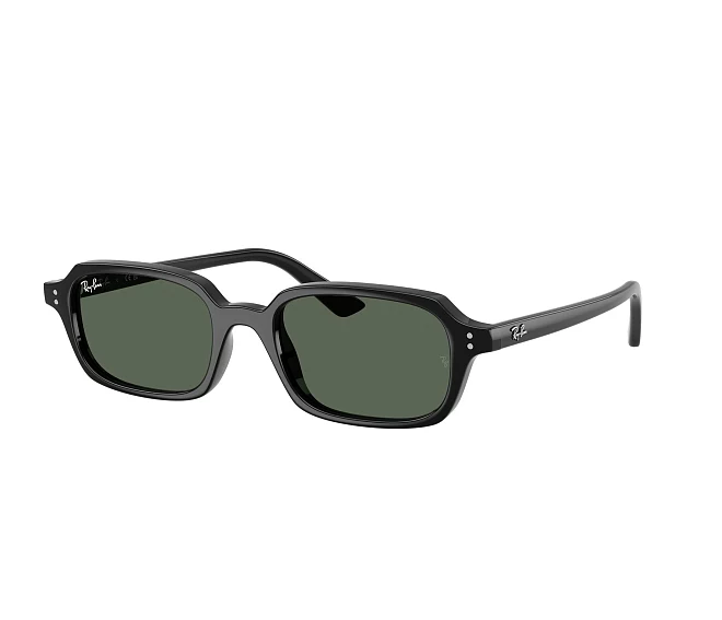 Gafas de sol Ray-Ban RB4455 667771 49 19 Negra