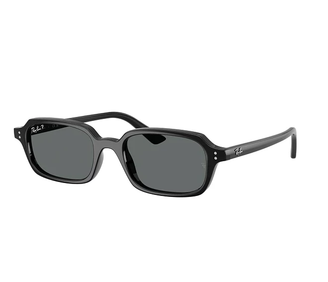 Gafas de sol Ray-Ban RB4455 667781 49 19 Negra