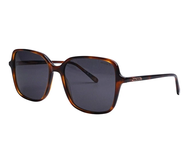 Gafas de sol Ripcurl FSA090 03 56 17 Marrón Oro
