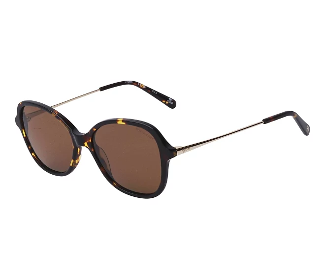 Gafas de sol Ripcurl GSA021 02 50 15 Marrón Oro