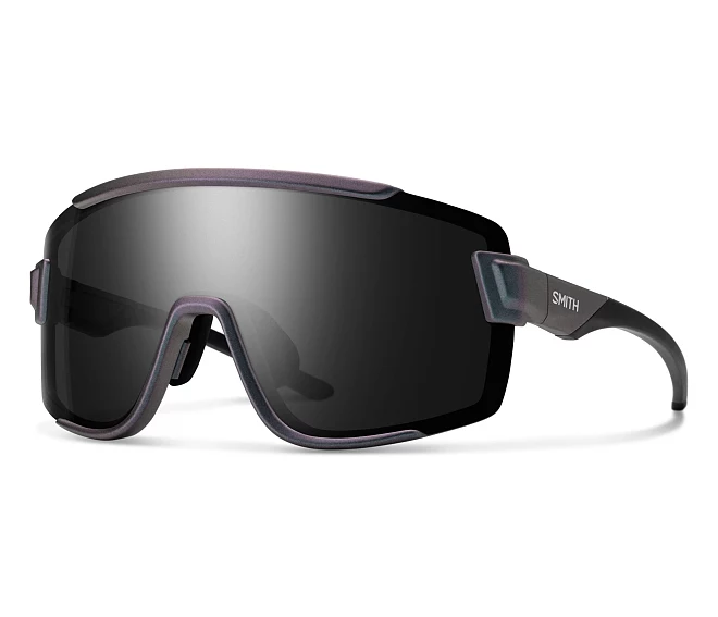 Gafas de sol Smith Optics WILDCAT DKH/1C   CiruelaNegro