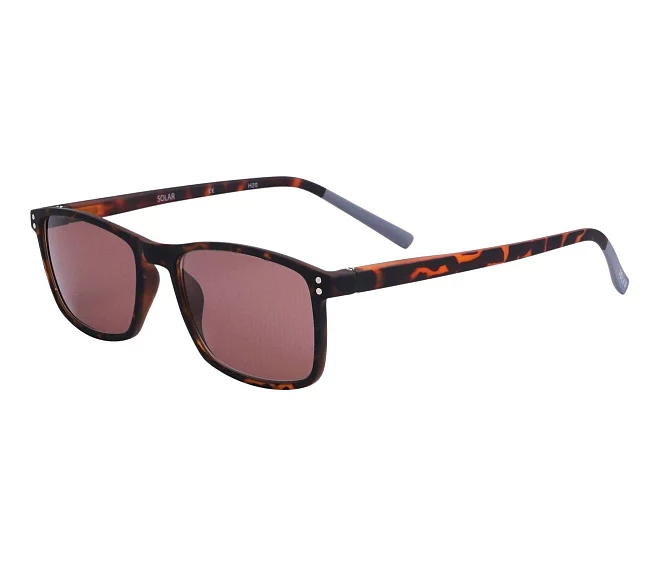 Gafas de sol Solar JSLR03 51-MARRON 52 16 Marrón Gris