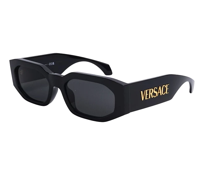 Gafas de sol Versace VE4489U GB1/87 55 18 Negra
