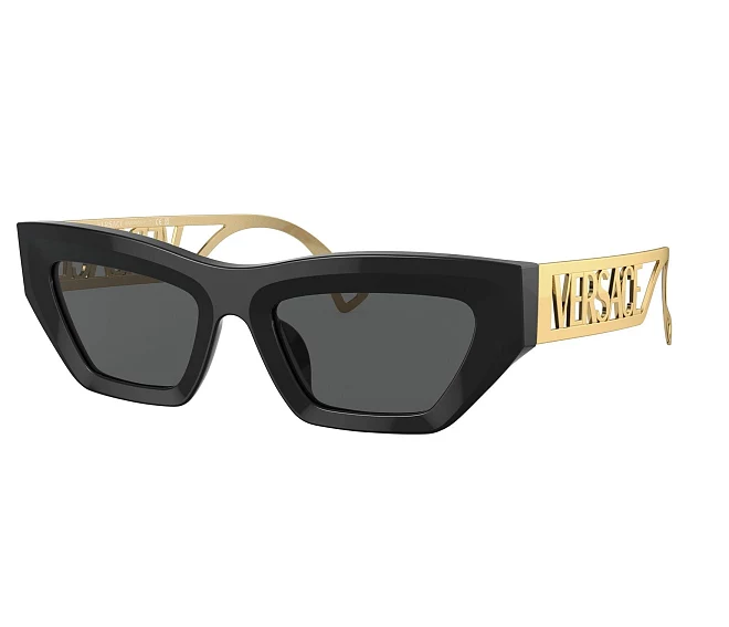 Gafas de sol Versace VE4432U GB1/87 53 20 Negra