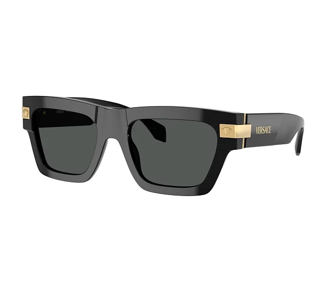 Gafas de sol Versace VE4464 GB1/87 52 20 Negra