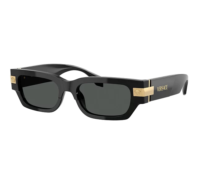 Gafas de sol Versace VE4465 GB1/87 53 18 Negra