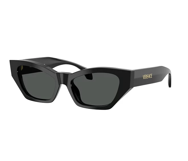 Gafas de sol Versace VE4488U GB1/87 53 17 Negra