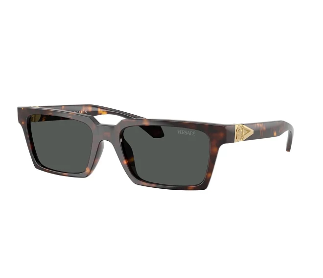 Gafas de sol Versace VE4490U 108/87 55 18 Havana