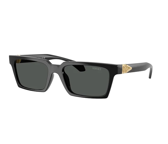 Gafas de sol Versace VE4490U GB1/87 55 18 Negra