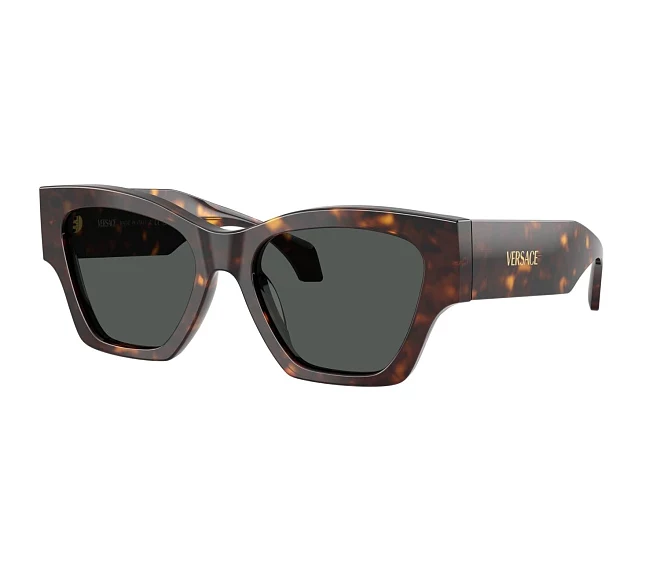Gafas de sol Versace VE4492U 108/87 53 18 Marrón