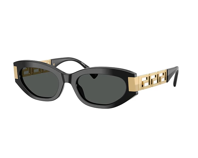 Gafas de sol Versace VE4501 GB1/87 54 19 Negra