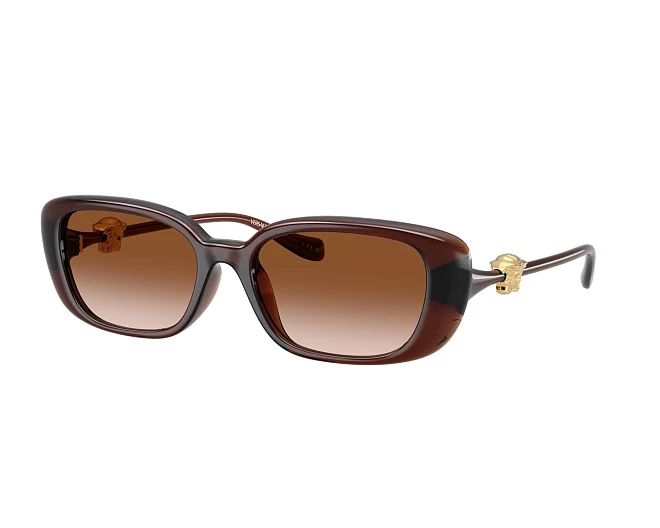 Gafas de sol Versace VE4504D 533213 56 18 Marrón