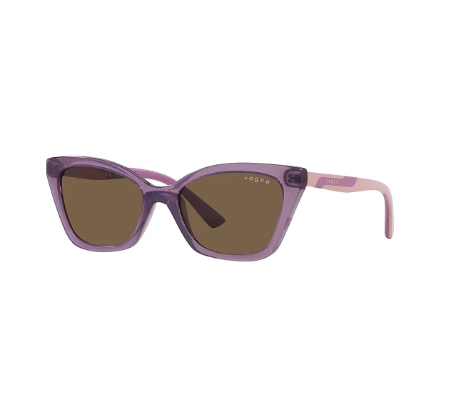 Gafas de sol Vogue Eyewear VJ2020 306473 48 16 Lila Purpura