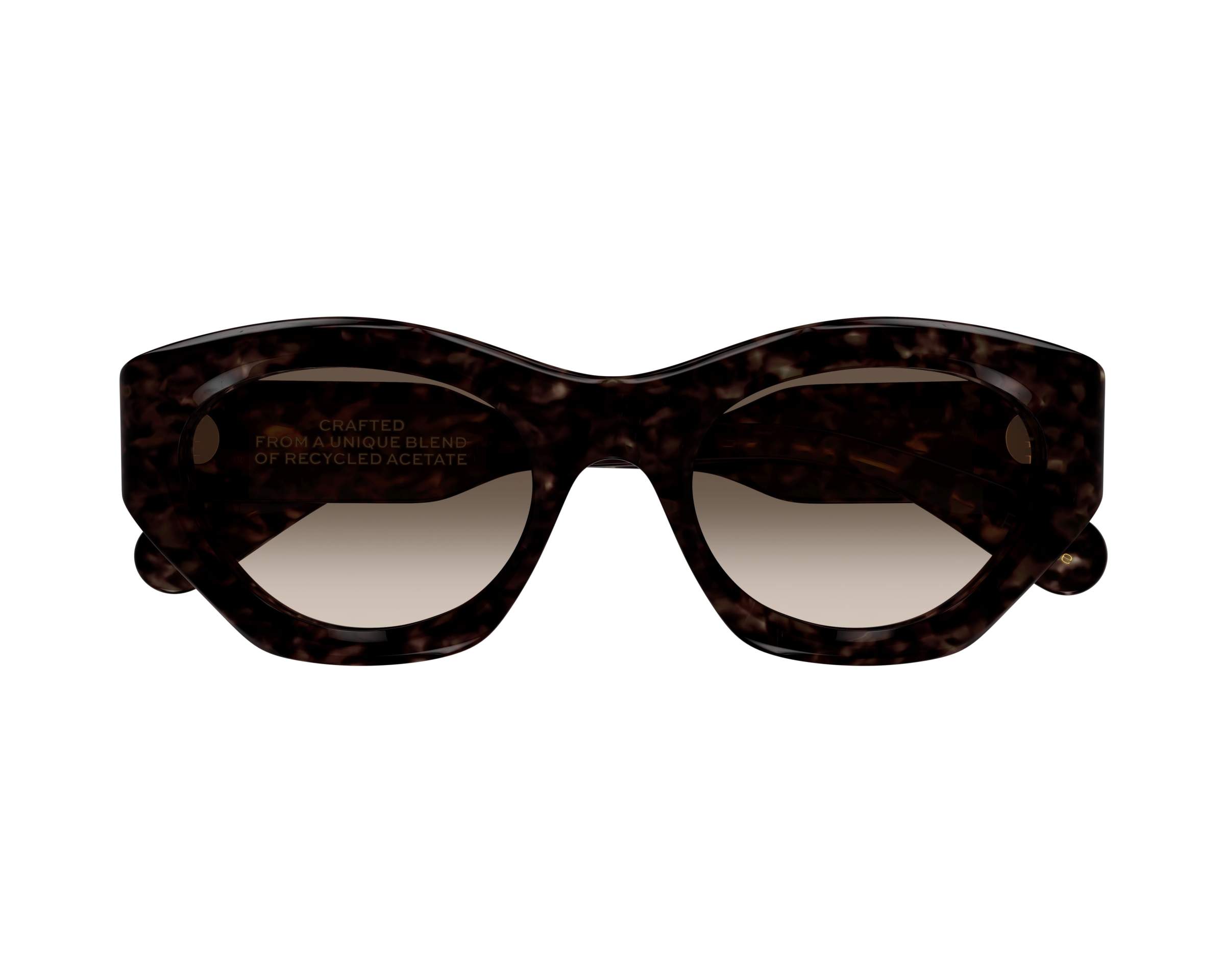 Chloe CH0220S 002 - Havana  vista de frente