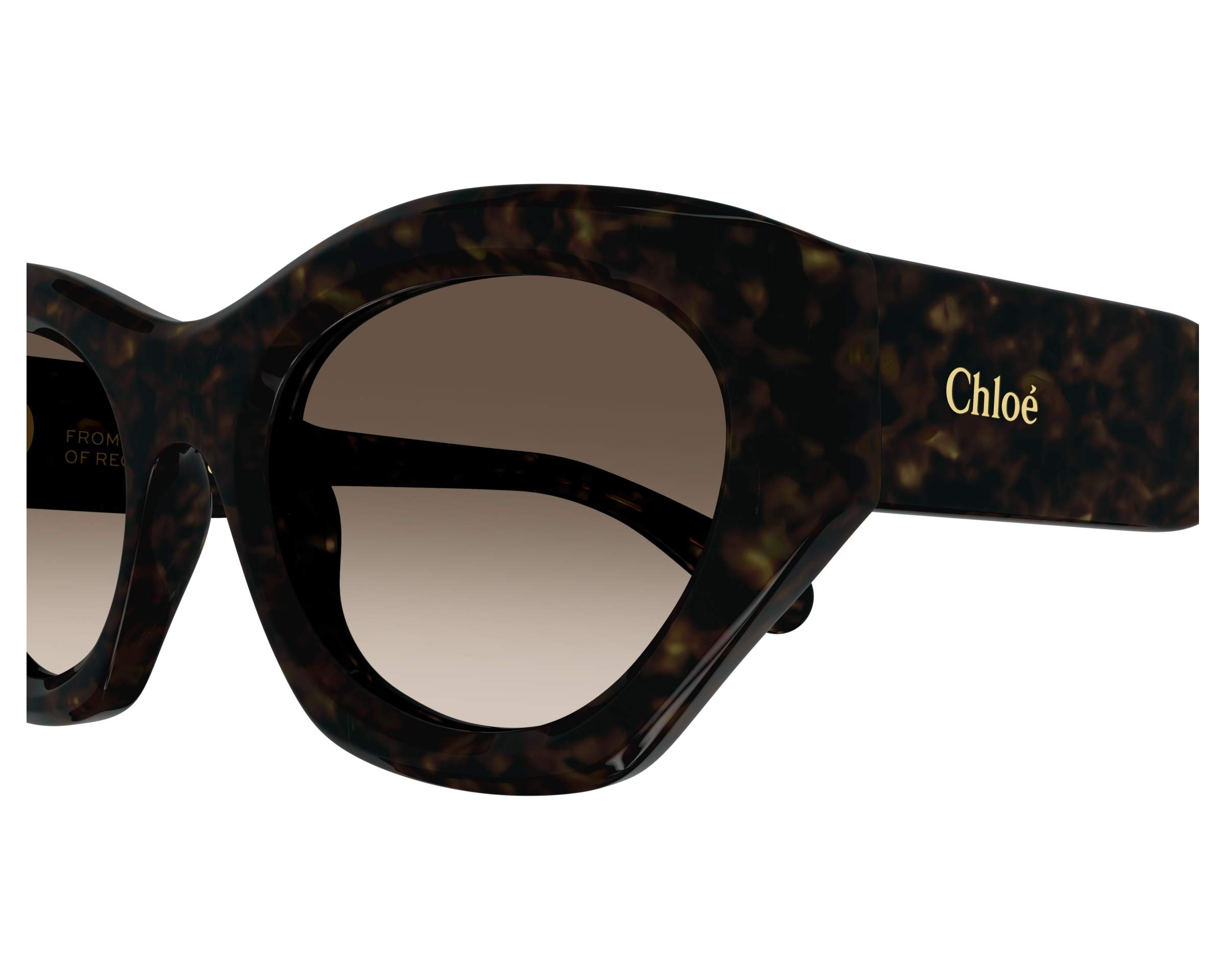 Chloe CH0220S 002 - Havana  vista lateral