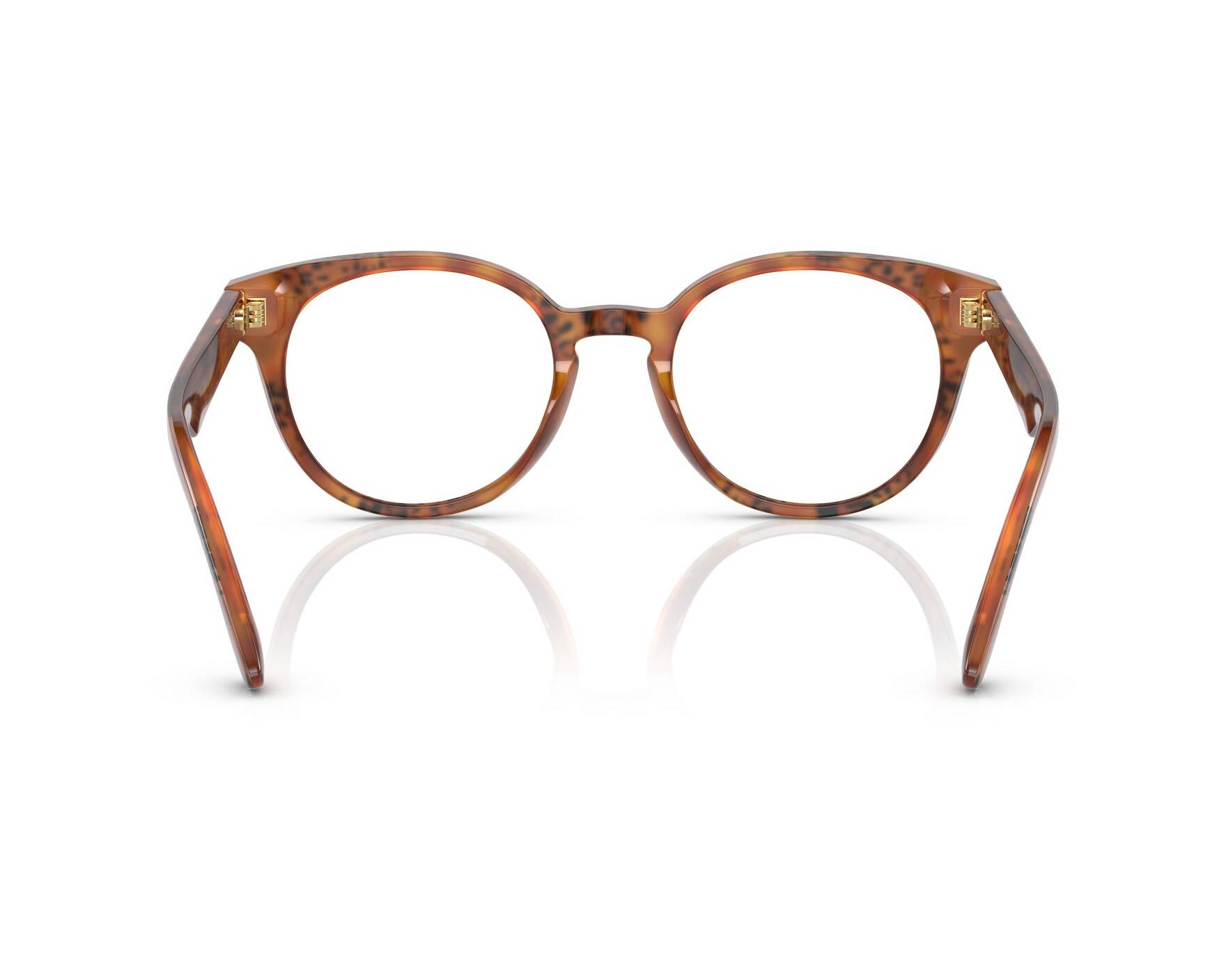 Dolce & Gabbana DG3361 3380 - Marrón   Vista de 360 grados 3