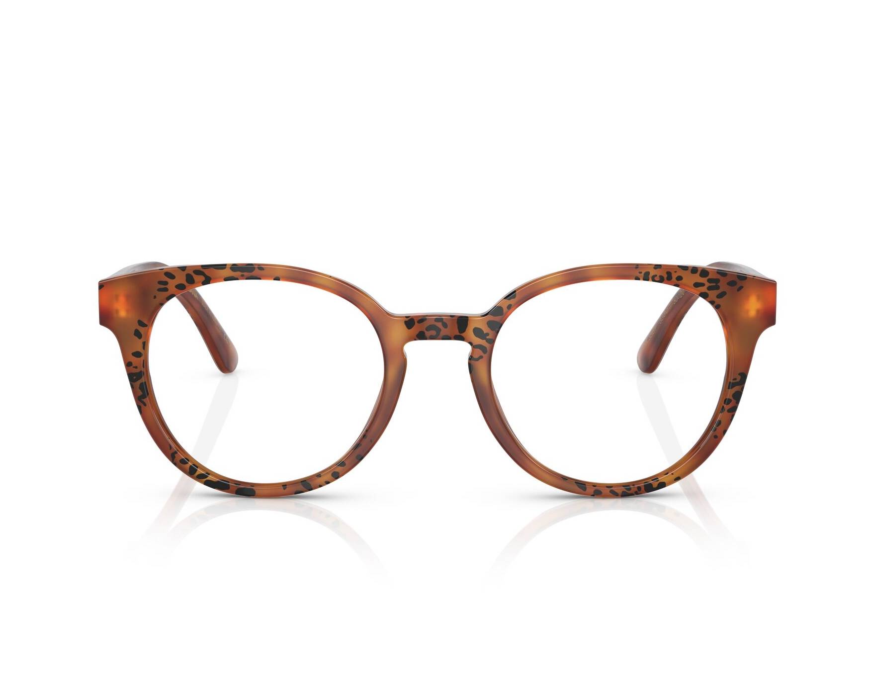 Dolce & Gabbana DG3361 3380 - Marrón   Vista de 360 grados 5