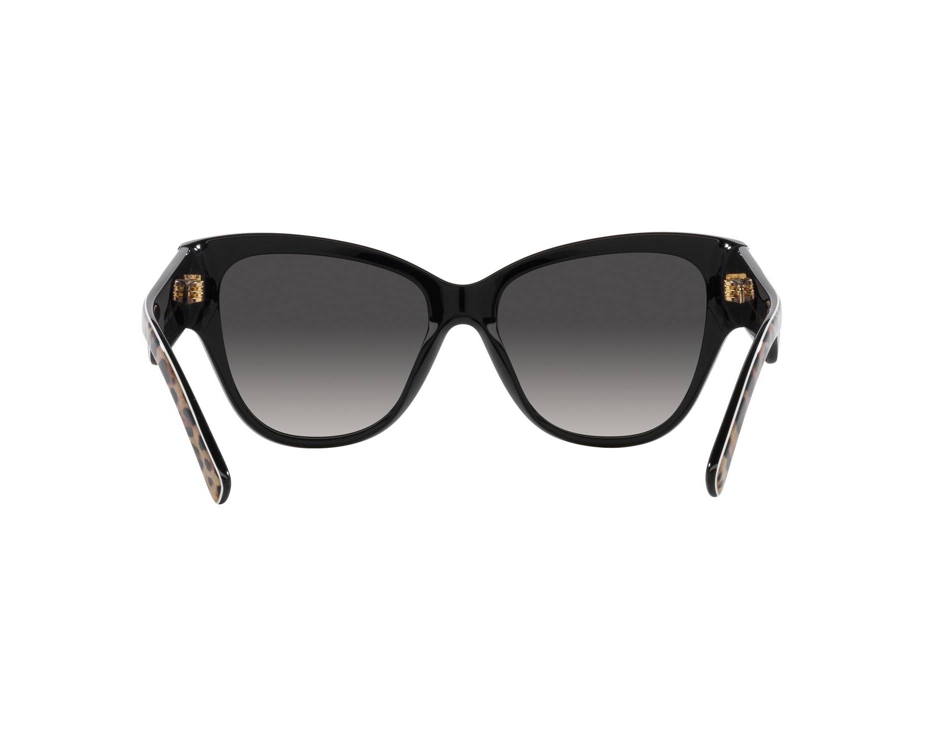 Dolce & Gabbana DG4449 31638G 54-16 Marron  Vista de 360 grados 7
