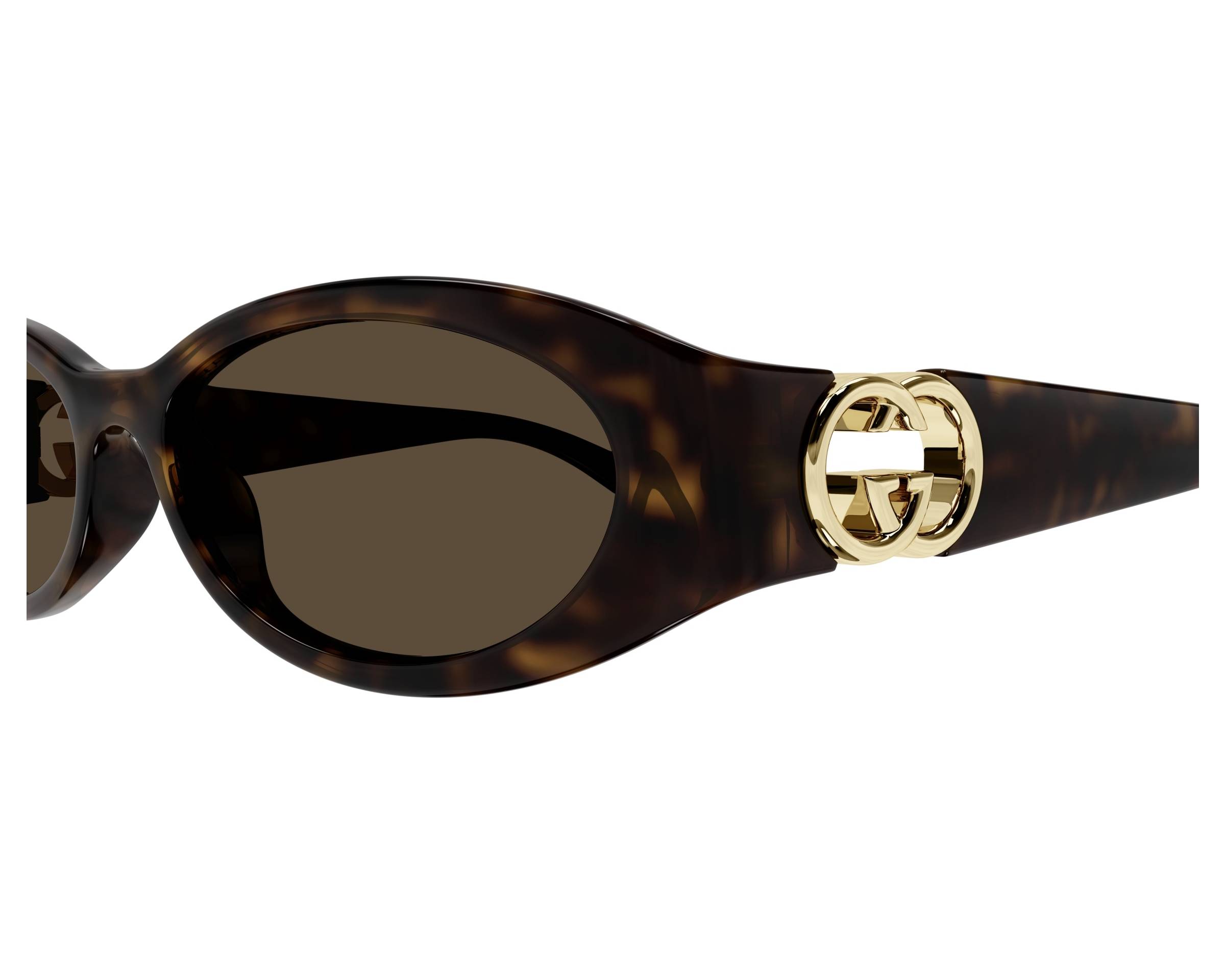 Gucci GG1660S 002 54-16 Havana  vista lateral