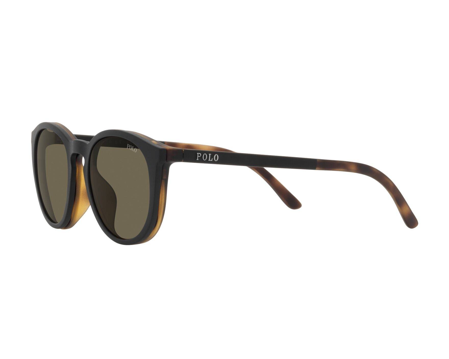 Polo Ralph Lauren PH4183U 5057/3 50-20 Havana  Vista de 360 grados 4