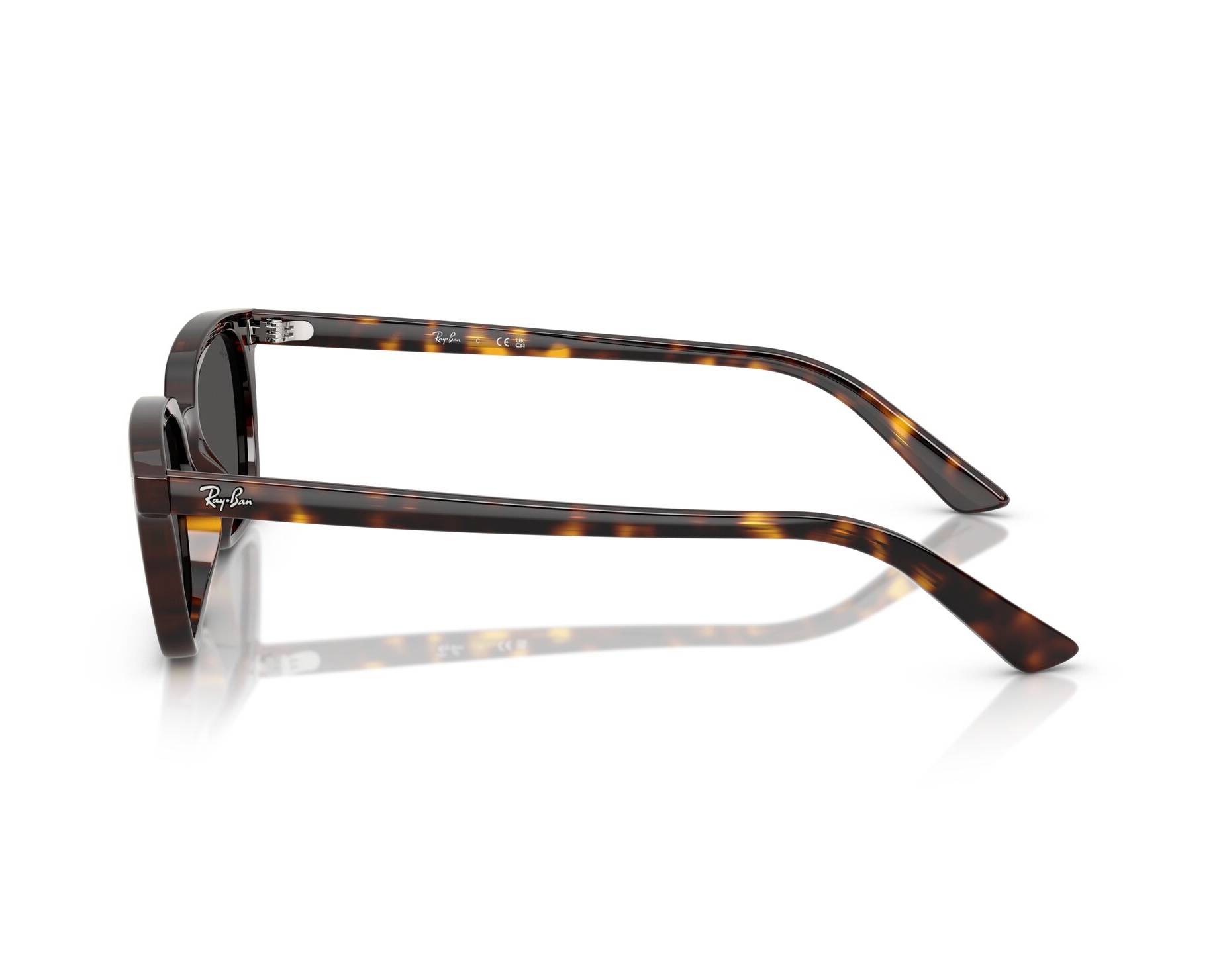 Gafas de Sol Ray-Ban Zaya RB4456 135987