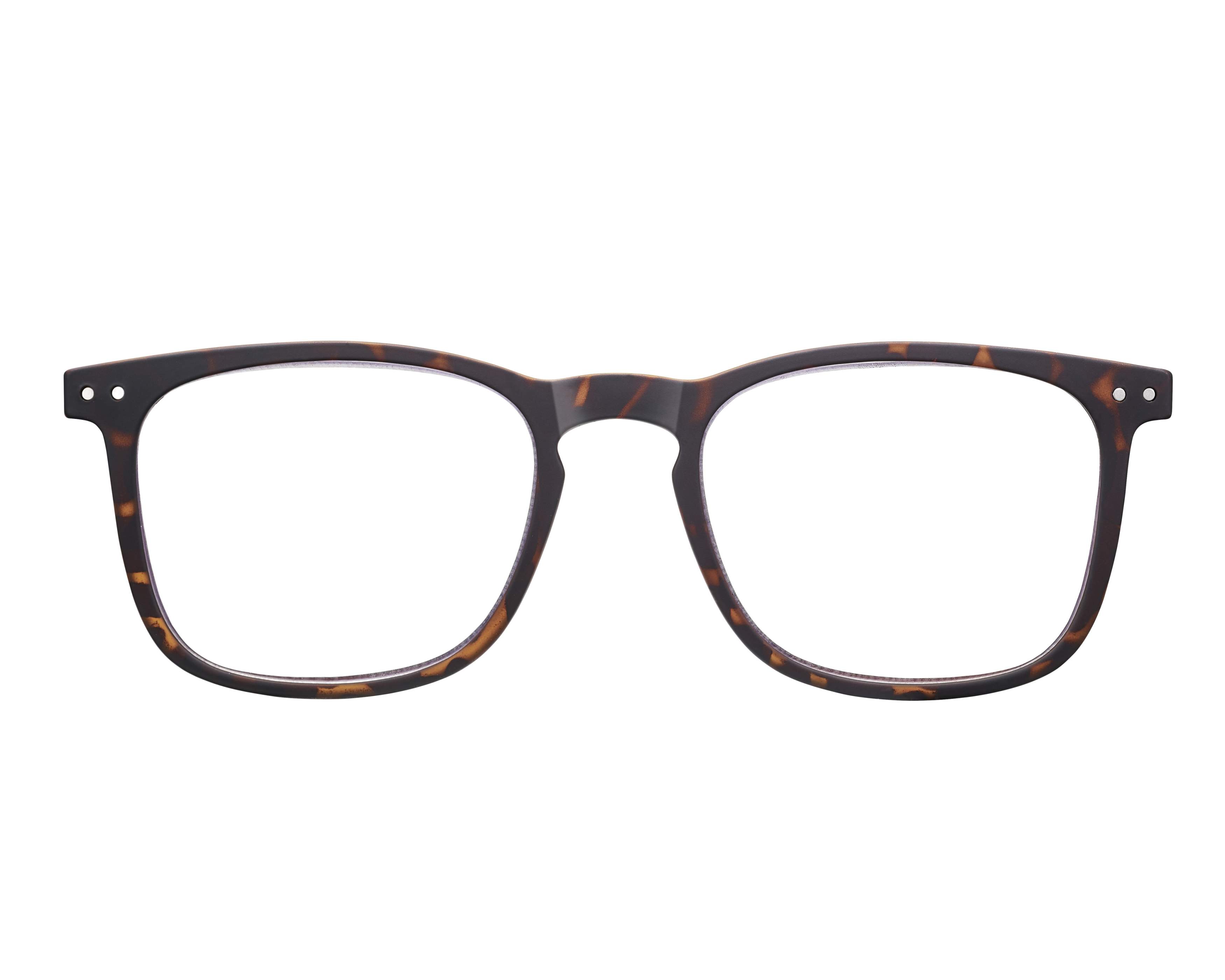 Solar JSLR02 51 51-19 Havana  vista de frente