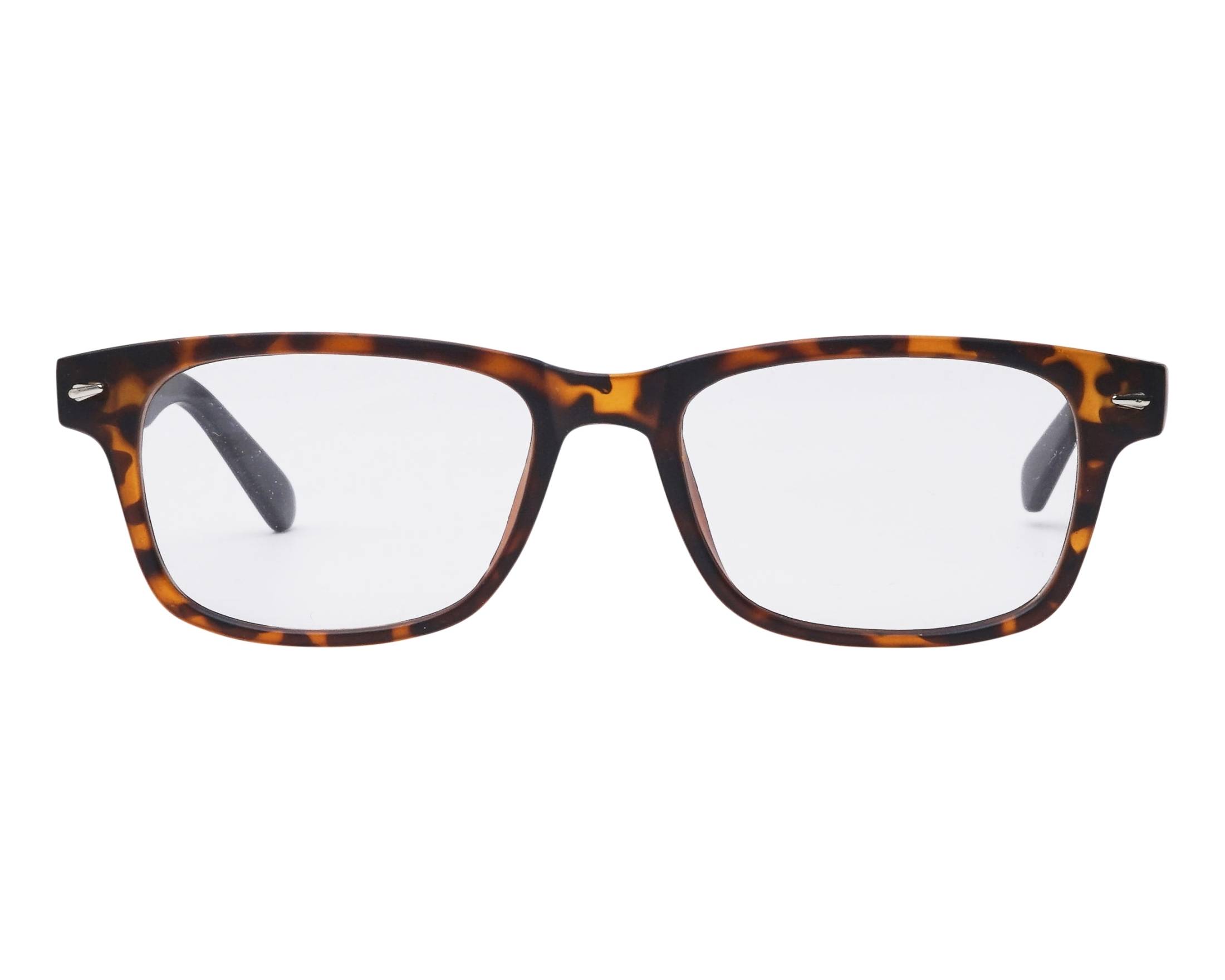 Sun CP156 A 50-17 havana schwarz vista de frente